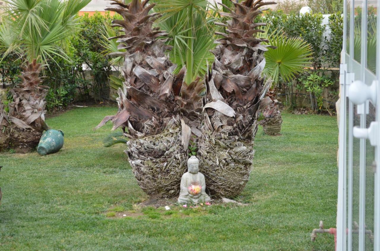 Bed and Breakfast Floripa Surf House Santa Maria Del Focallo Zewnętrze zdjęcie